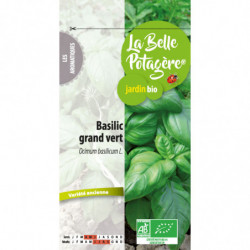 Basilic grand vert 0,5 g