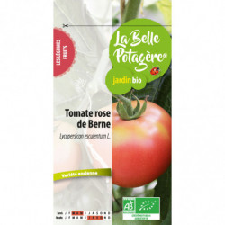 Tomate rose de Berne 0,15 g